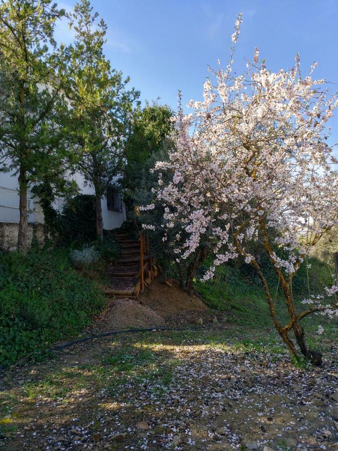 Casa La Liebrecilla Pensionat Ríogordo Exteriör bild